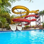 Expressgoldendolphin